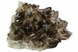 Dark Smoky Quartz Crystal Cluster - Brazil #106966-1